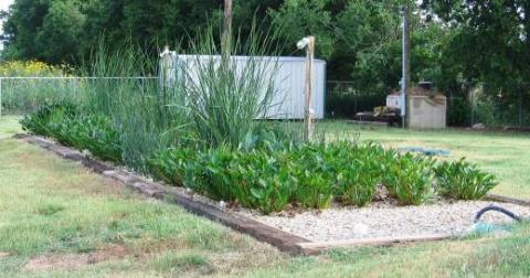 Baylor Wastewater Reuse Research (BWRR) Garden